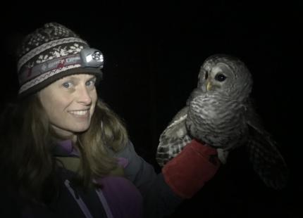 Professor Van Roo with barred owl on a chilly night